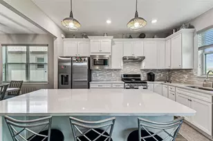 19437 Ship Wheel Wy, Land O Lakes, FL 34638 - Photo 19