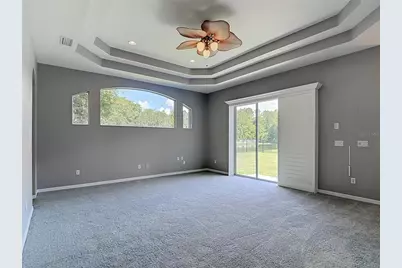 16224 Ivy Lake Drive, Odessa, FL 33556 - Photo 37