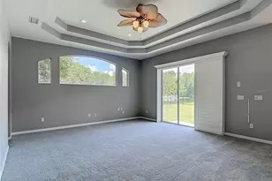 16224 Ivy Lake Dr, Odessa, FL 33556 - Photo 37