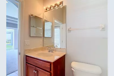 16224 Ivy Lake Drive, Odessa, FL 33556 - Photo 55