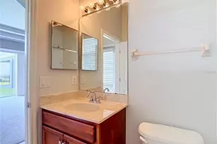 16224 Ivy Lake Dr, Odessa, FL 33556 - Photo 55