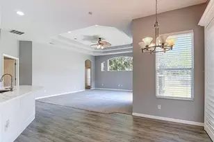16224 Ivy Lake Dr, Odessa, FL 33556 - Photo 31