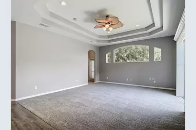 16224 Ivy Lake Drive, Odessa, FL 33556 - Photo 35