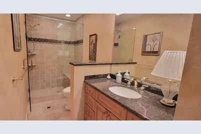 1004 Old Mill Pond Road, Palm Harbor, FL 34683 - Photo 47