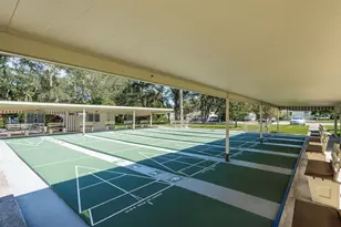 36 New Fawn Ct, Safety Harbor, FL 34695 - Photo 35