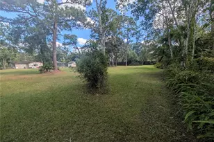 6906 Collingswood Ct, New Port Richey, FL 34655 - Photo 59