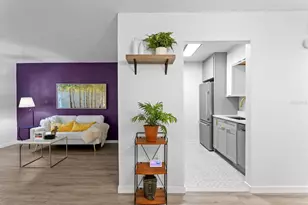 4335 Aegean Dr, Tampa, FL 33611 - Photo 19