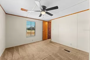 12001 Rhodine Rd, Riverview, FL 33579 - Photo 35