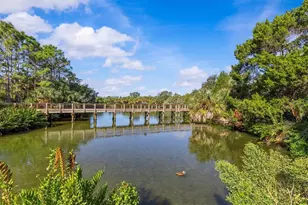 3307 Desoto Blvd, Palm Harbor, FL 34683 - Photo 39