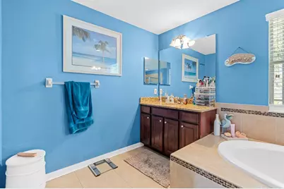 159 Star Shell Drive, Apollo Beach, FL 33572 - Photo 49