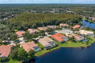 17923 Arbor Haven Dr, Tampa, FL 33647 - Photo 41