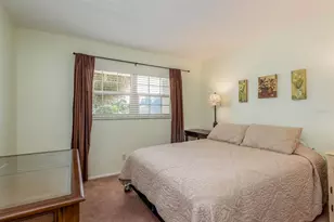 936 Virginia St, Dunedin, FL 34698 - Photo 13