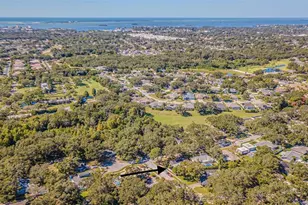 936 Highview Dr, Palm Harbor, FL 34683 - Photo 49