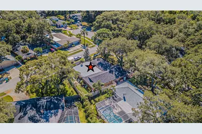 936 Highview Drive, Palm Harbor, FL 34683 - Photo 45