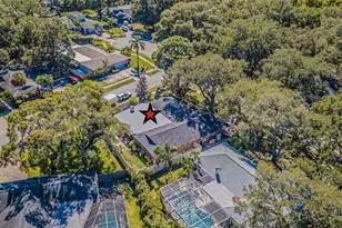 936 Highview Dr, Palm Harbor, FL 34683 - Photo 45