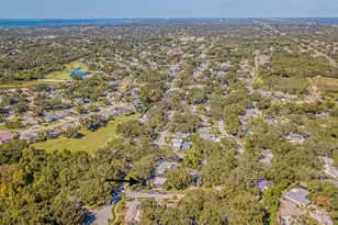 936 Highview Dr, Palm Harbor, FL 34683 - Photo 49