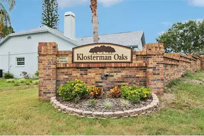 4994 Klosterman Oaks Boulevard, Palm Harbor, FL 34683 - Photo 33