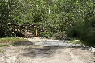 1070 Sanabel Ct NE, Saint Petersburg, FL 33702 - Photo 47