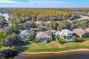 4805 Tea Rose Ct, Lutz, FL 33558 - Photo 53