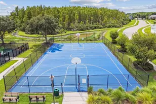 18530 Strombury Drive, Land O Lakes, FL 34638 - Photo 39