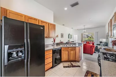 1123 Wright Swynde Court, Wesley Chapel, FL 33543 - Photo 13