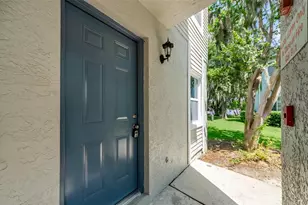 7246 E Bank Dr, Tampa, FL 33617 - Photo 3