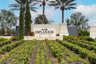 4795 Freccia Loop, Wesley Chapel, FL 33543 - Photo 41