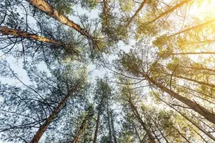 107 Japonica Ave, Indian Lake Estates, FL 33855 - Photo 1