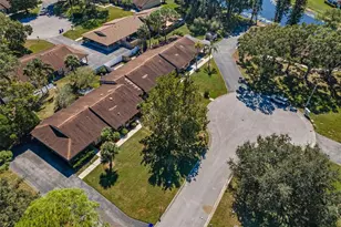 215 Corkwood Ln, Oldsmar, FL 34677 - Photo 35