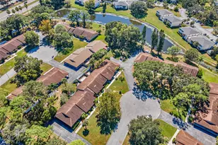 215 Corkwood Ln, Oldsmar, FL 34677 - Photo 37