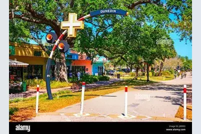 664 Frederica Lane, Dunedin, FL 34698 - Photo 31