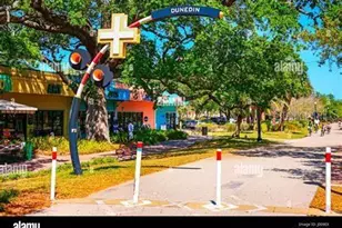 664 Frederica Ln, Dunedin, FL 34698 - Photo 31