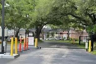 13693 Orange Sunset Dr, Tampa, FL 33618 - Photo 13