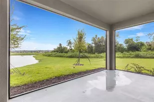 11858 Lilac Pearl Ln, Parrish, FL 34219 - Photo 57