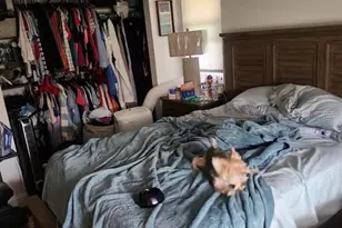 1337 Brampton Cove, Wellington, FL 33414 - Photo 23