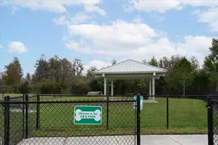 10928 Osprey Glade Ter, Land O Lakes, FL 34638 - Photo 39