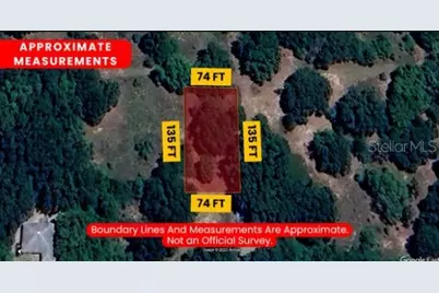 2309 Garfield Street, Inverness, FL 34453 - Photo 13