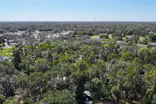 116 Currys Lndg Trl, Brandon, FL 33511 - Photo 63