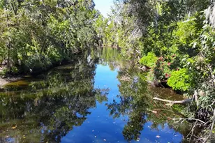 116 Currys Lndg Trl, Brandon, FL 33511 - Photo 73