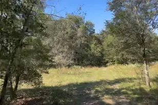 2307 Garfield St, Inverness, FL 34453 - Photo 1