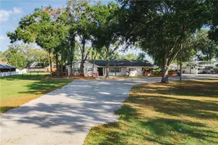 15509 Casey Rd, Tampa, FL 33624 - Photo 63