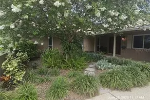 1101 87th Ave N, Saint Petersburg, FL 33702 - Photo 11