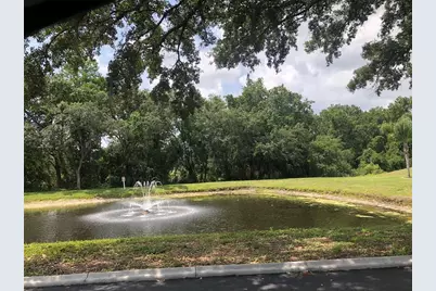 3956 Elvira Court, New Port Richey, FL 34655 - Photo 19