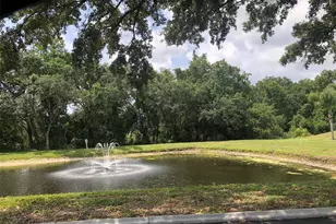 3956 Elvira Ct, New Port Richey, FL 34655 - Photo 19