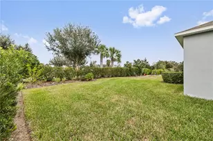 6112 Plover Meadow St, Lithia, FL 33547 - Photo 21