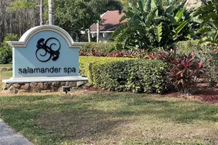 36750 US Hwy 19 N, Palm Harbor, FL 34683 - Photo 13