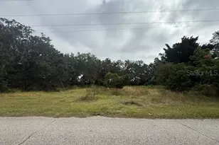 4202 Drawdy Rd, Plant City, FL 33567 - Photo 1