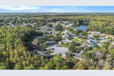 643 Satinleaf Avenue, Oldsmar, FL 34677 - Photo 31