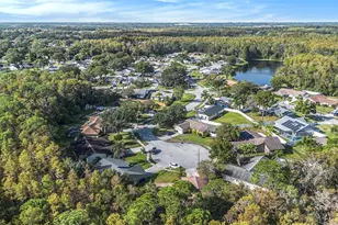 643 Satin Leaf Ave, Oldsmar, FL 34677 - Photo 31