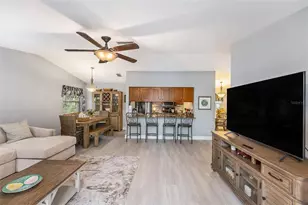 643 Satin Leaf Ave, Oldsmar, FL 34677 - Photo 7